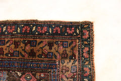 Balooch Rug, Persian Wool Rug, 4x6 Area Rug