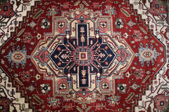 Serapi Rug, Indian Rug, Hand Knotted, 9x12 Rug