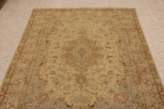 Tabriz Rug, Persian Rug, 8x11 Area Rug