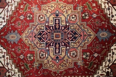 Serapi Rug, Traditional Rug, 9x12 Area Rug, large rugs for living room