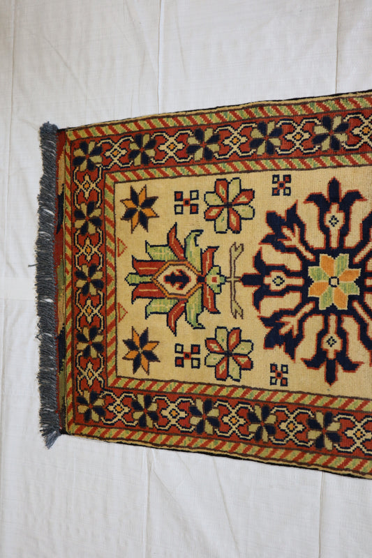 Turkman Rug, Hand Knotted Rug, Traditional Rug, Area Rug