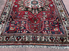Baktiari Rug, Area Rug, Hand Knotted Rug